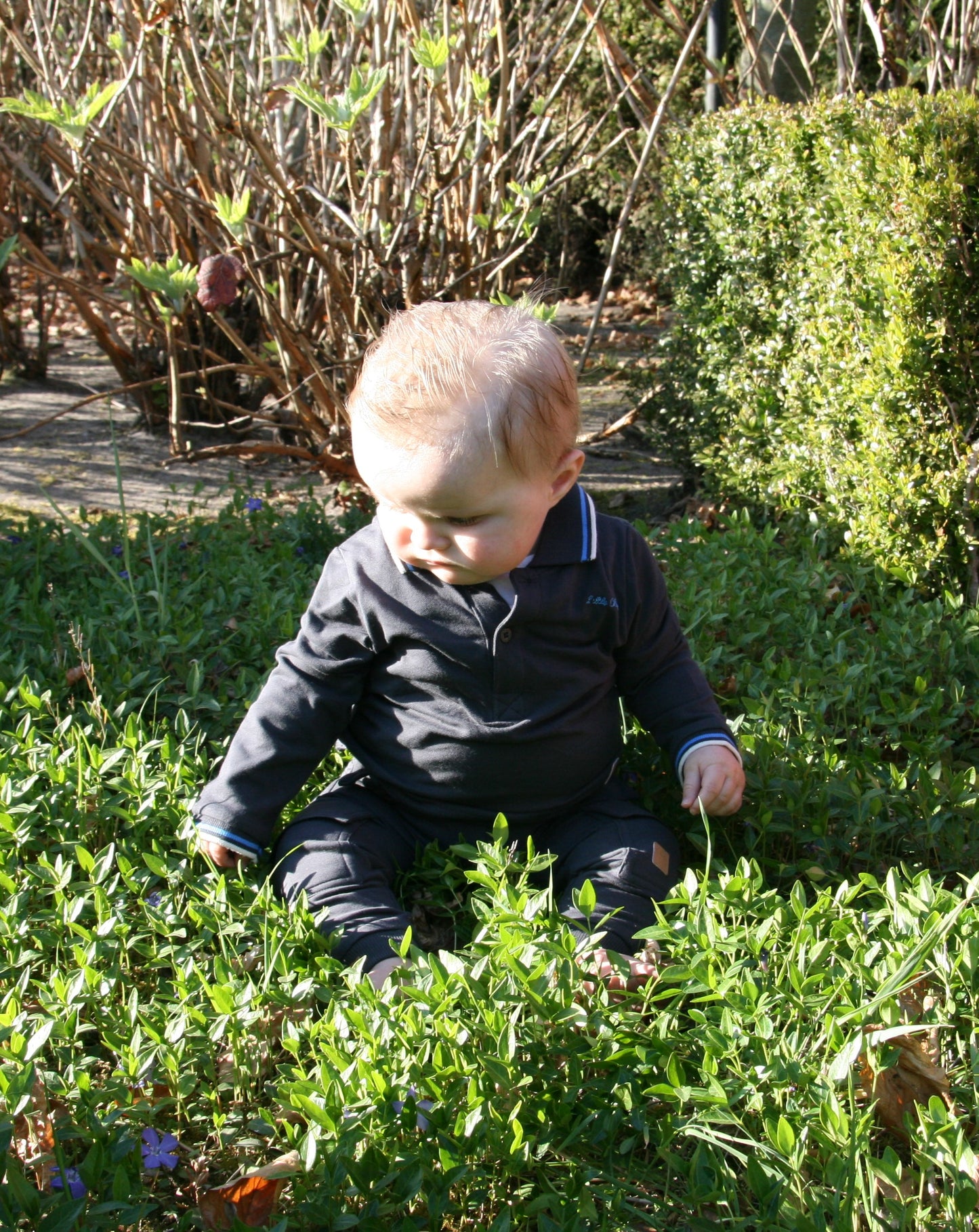 Little Chiq Baby Polo antraciet